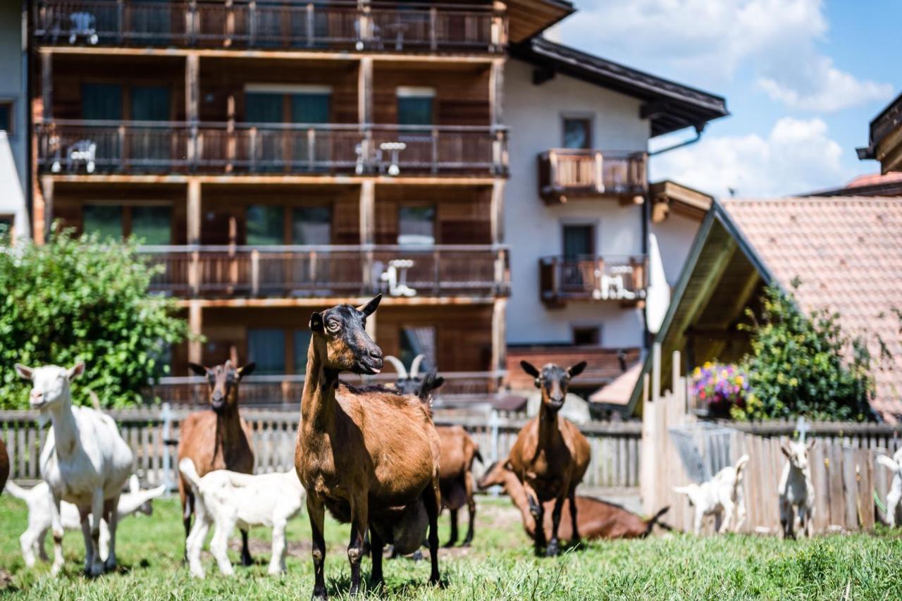Sporthotel Exclusive San Vigilio Di Marebbe Dış mekan fotoğraf